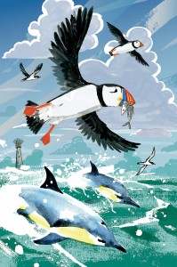 Puffins and dolphins illustration