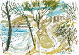 River Fal / Tolcarne woods / 7th Rise sketchbook by Matt Johnosn for Seasalt Cornwall