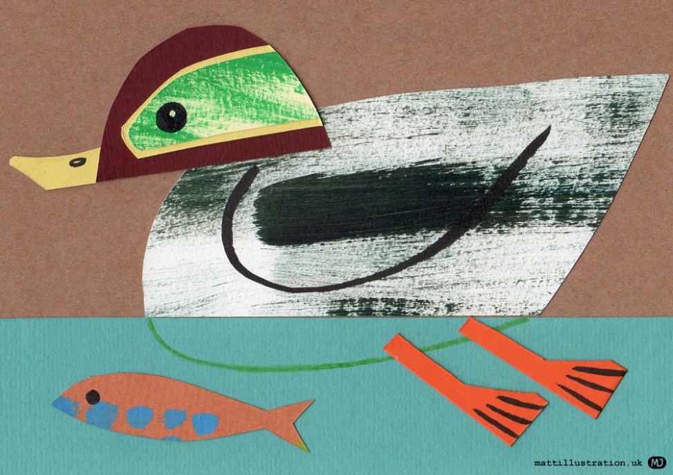 Teal duck illustration by Matt Johnson