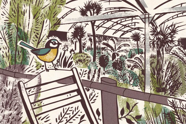 Illustration of blue tit in greenhouse at Trevenna Cross Nurseries