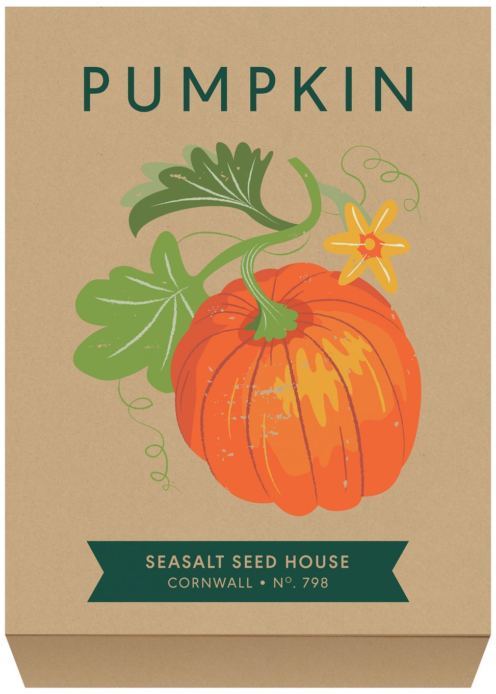 Pumpkin seed packet illustration by Matt Johnson