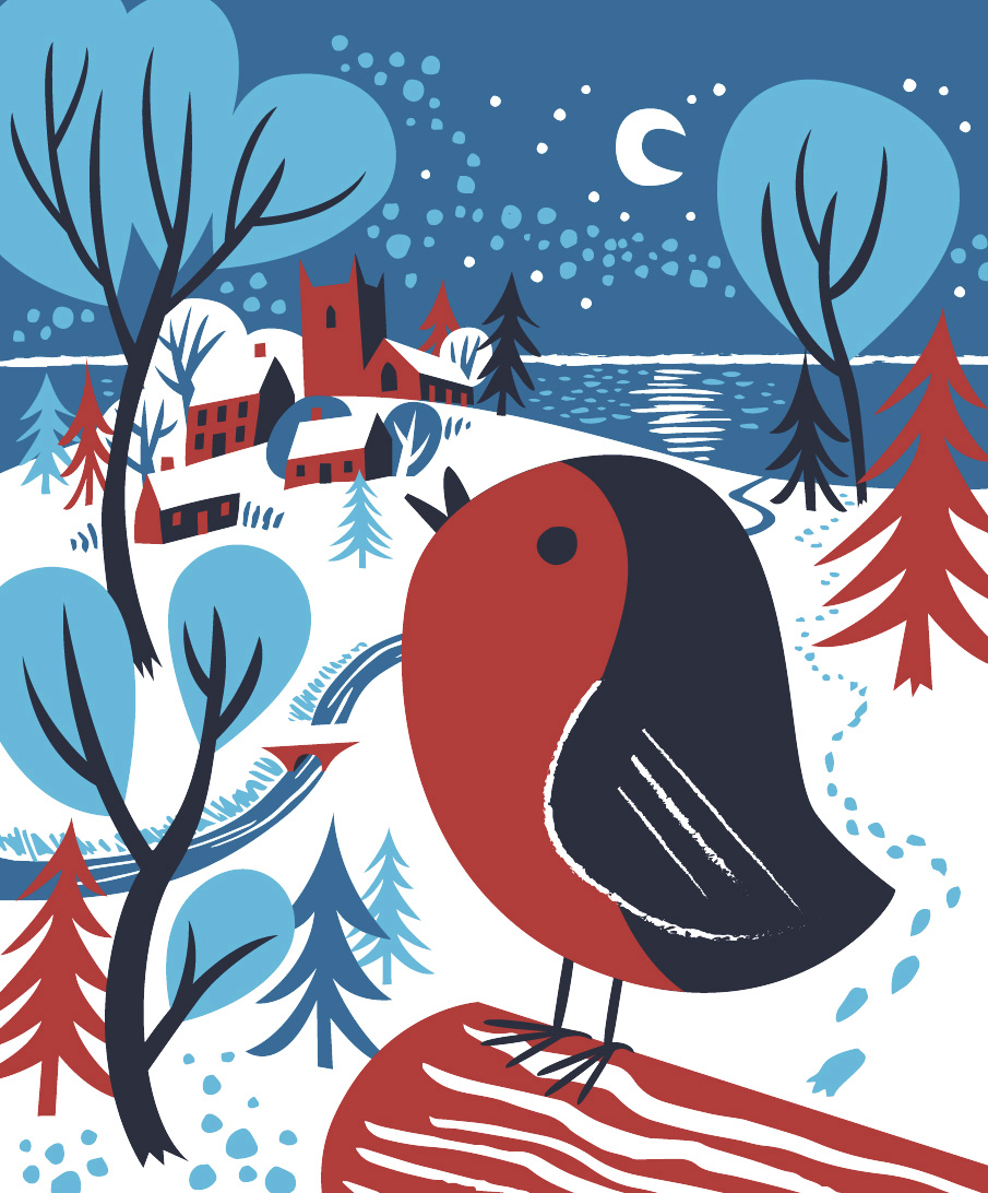 Christmas robin illustration by Matt Johnson for Seasalt Cornwall