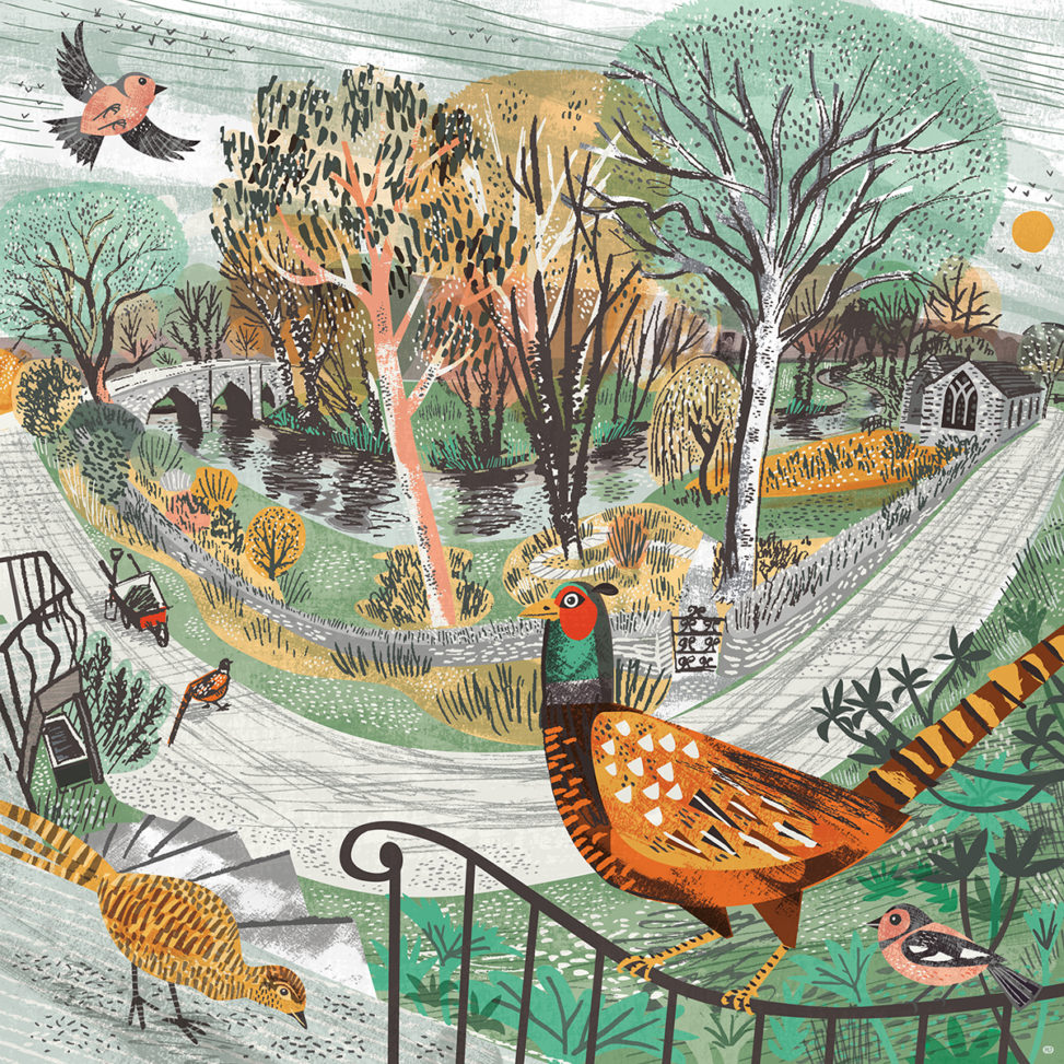 Hellandbridge pheasants illustration by Matt Johnson