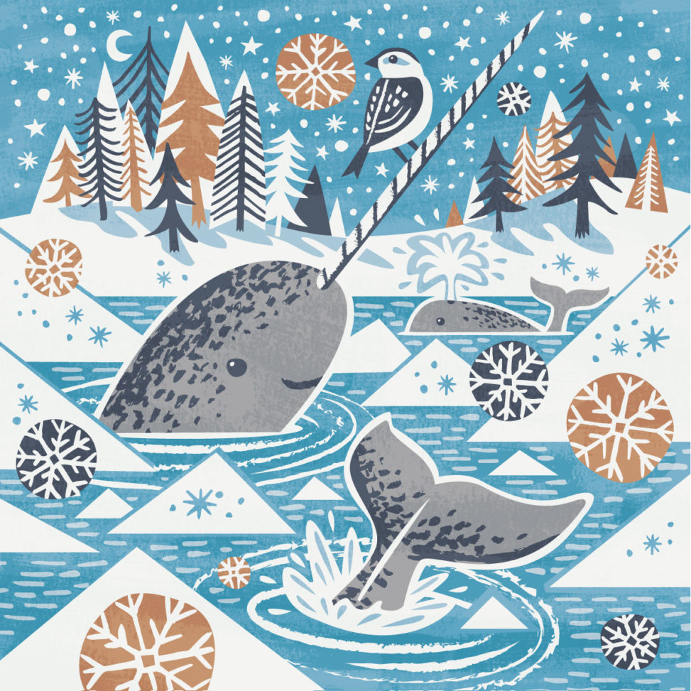 Narwhal and Snow bunting illustration by Matt Johnson