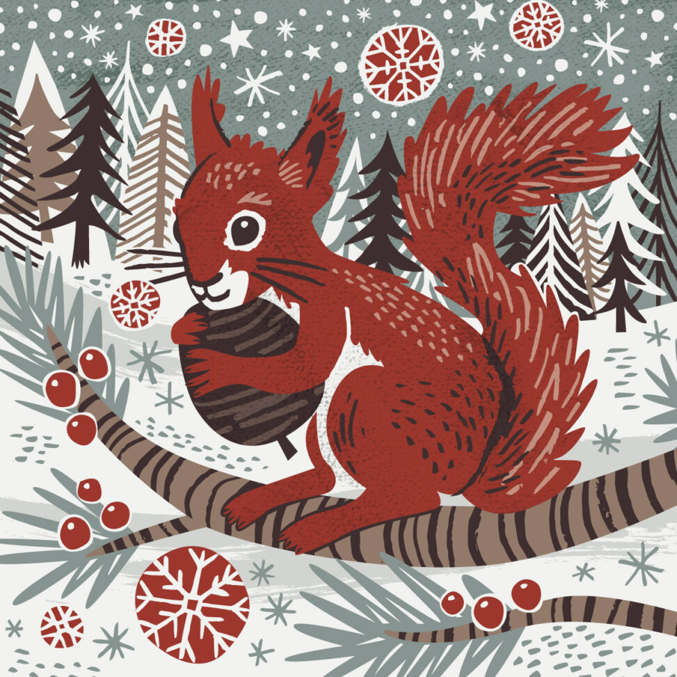 WInter Red Squirrel illustration by Matt Johnson