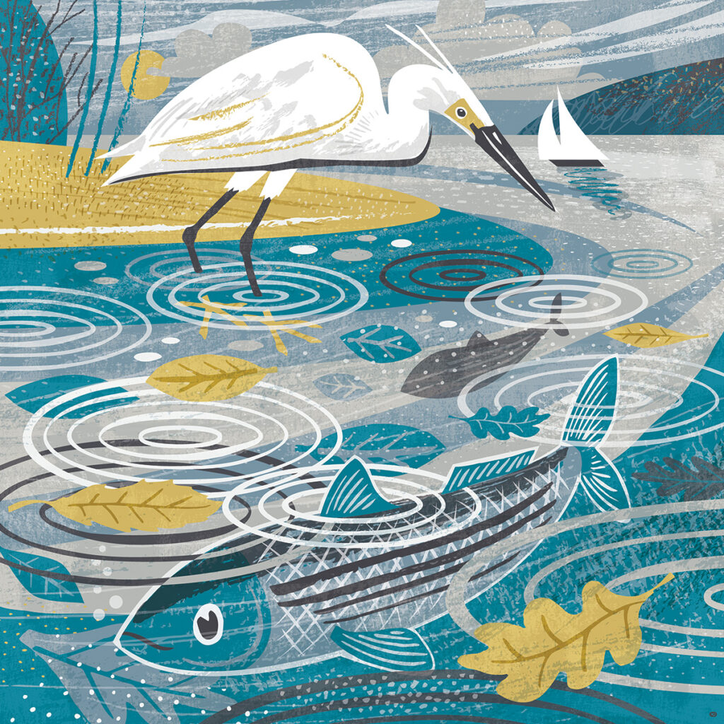 Egret and mullet on River Fal - illustration by Matt Johnson for Seasalt Cornwall