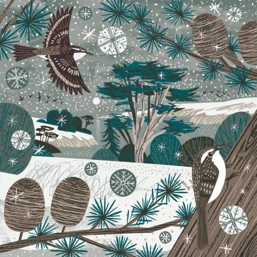 Helford River Treecreeper Cornwall illustration by Matt Johnson