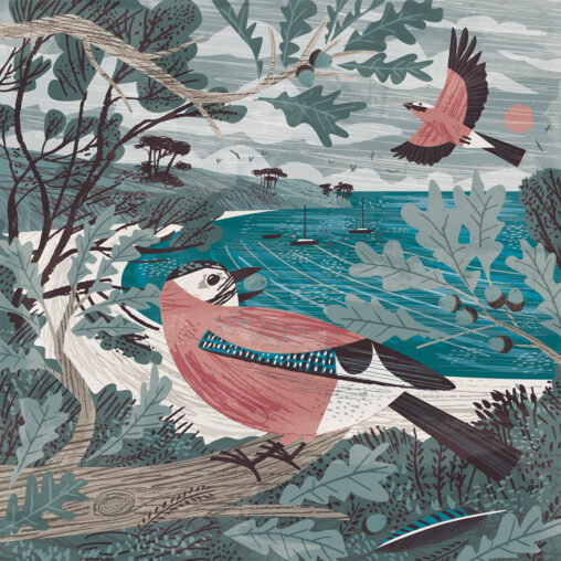 Jay Oak Helford River Illustration by Matt Johnson