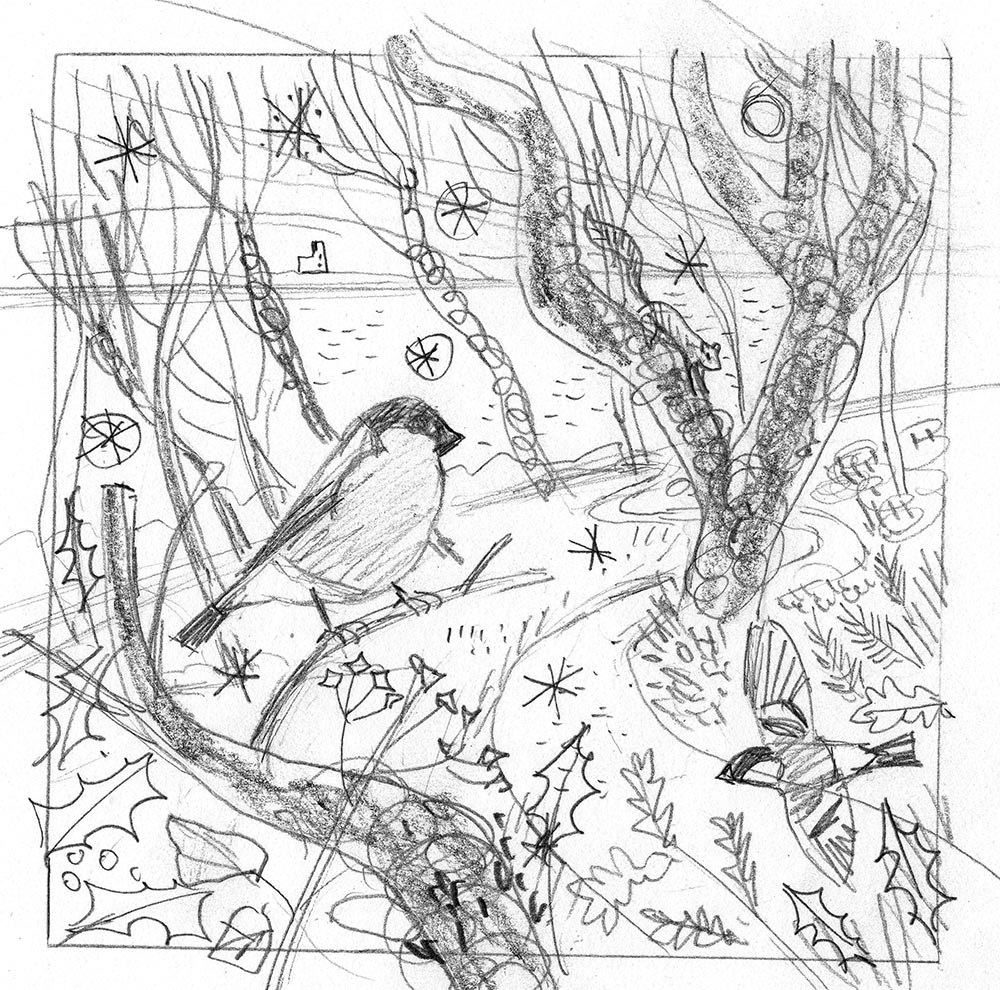 Bullfinches, Stack Point Falmouth - rough sketch by Matt Johnson