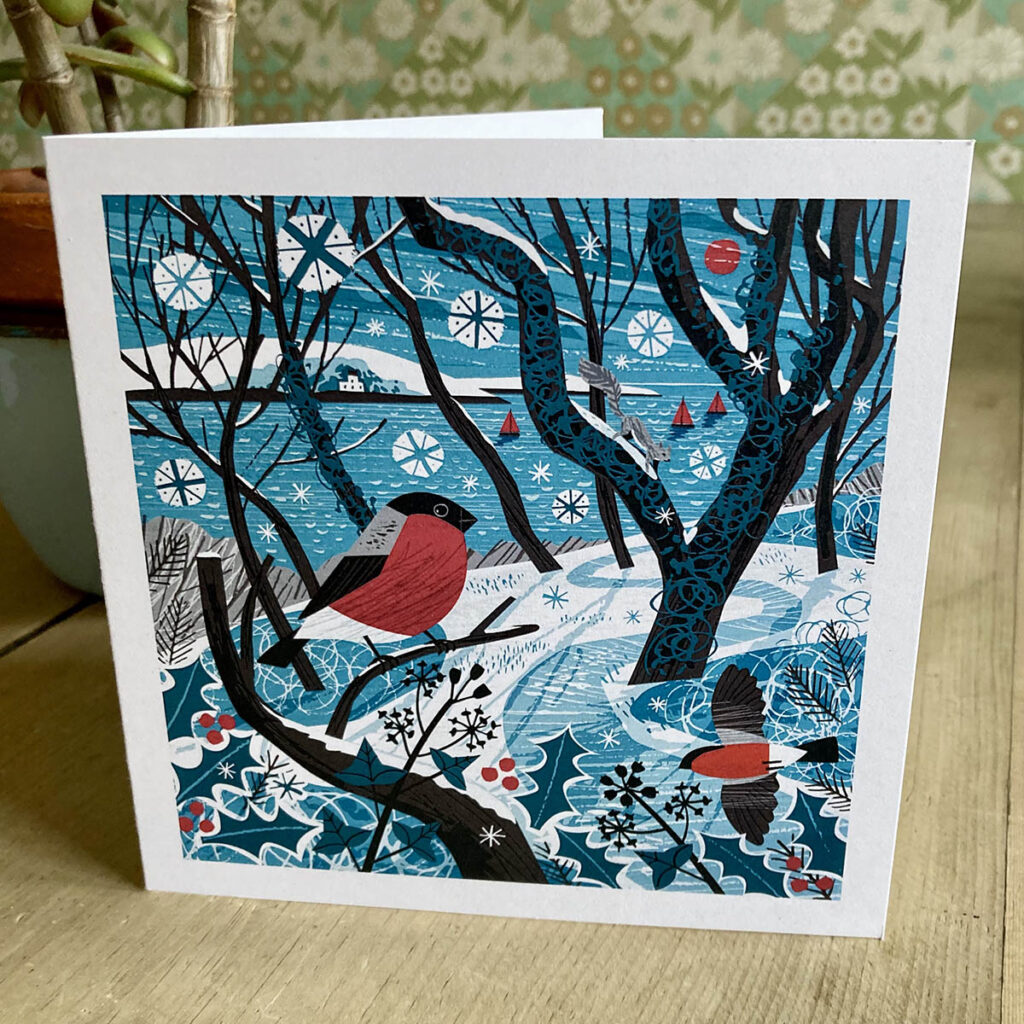 Bullfinches, Stack Point Falmouth - Christmas card illustration by Matt Johnson