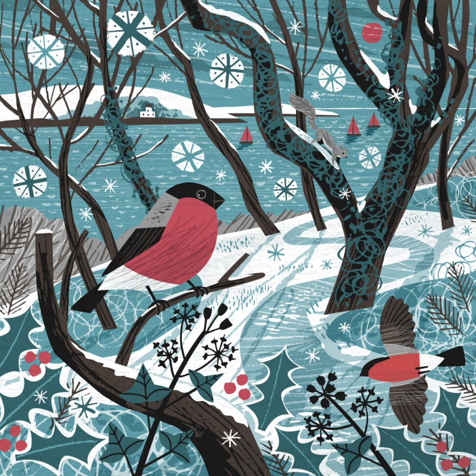 Bullfinches Christmas card illustration by Matt Johnson