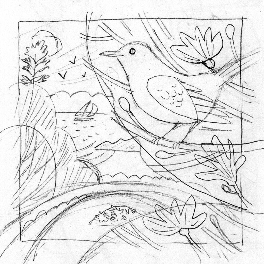 Trebah Garden blackbird illustration sketch by Matt Johnson