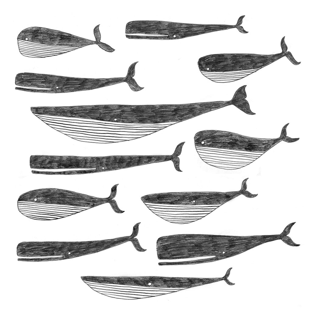 Whales illustration sketch by Matt Johnson