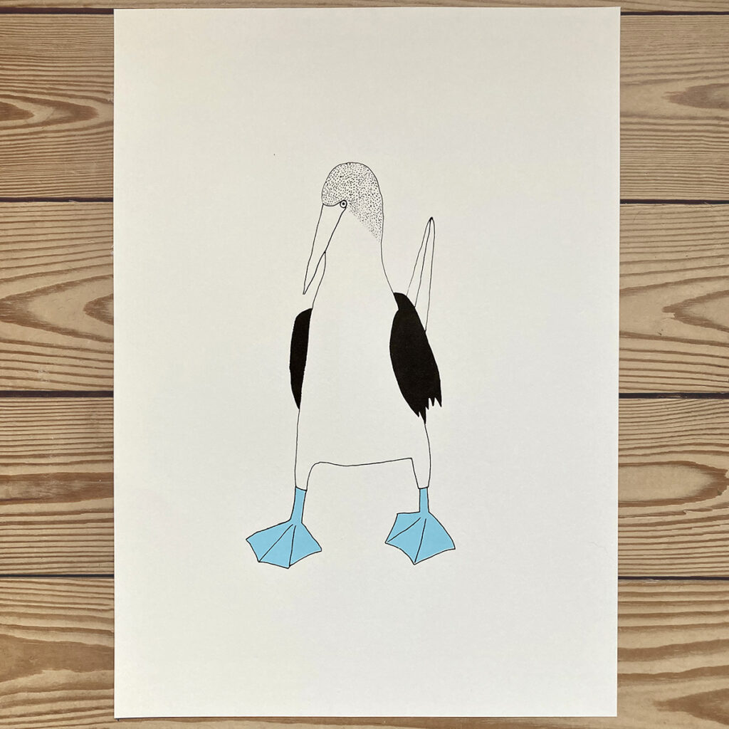 Blue Footed Booby Screen Print by Kathryn Wild