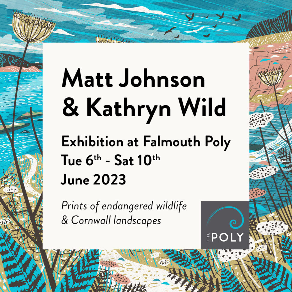 Matt Johnson & Kathryn Wild Exhibition at the Falmouth Poly Tuesday 6th - Saturday 10th June 2023. Prints of endangered wildlife and Cornwall landscapes