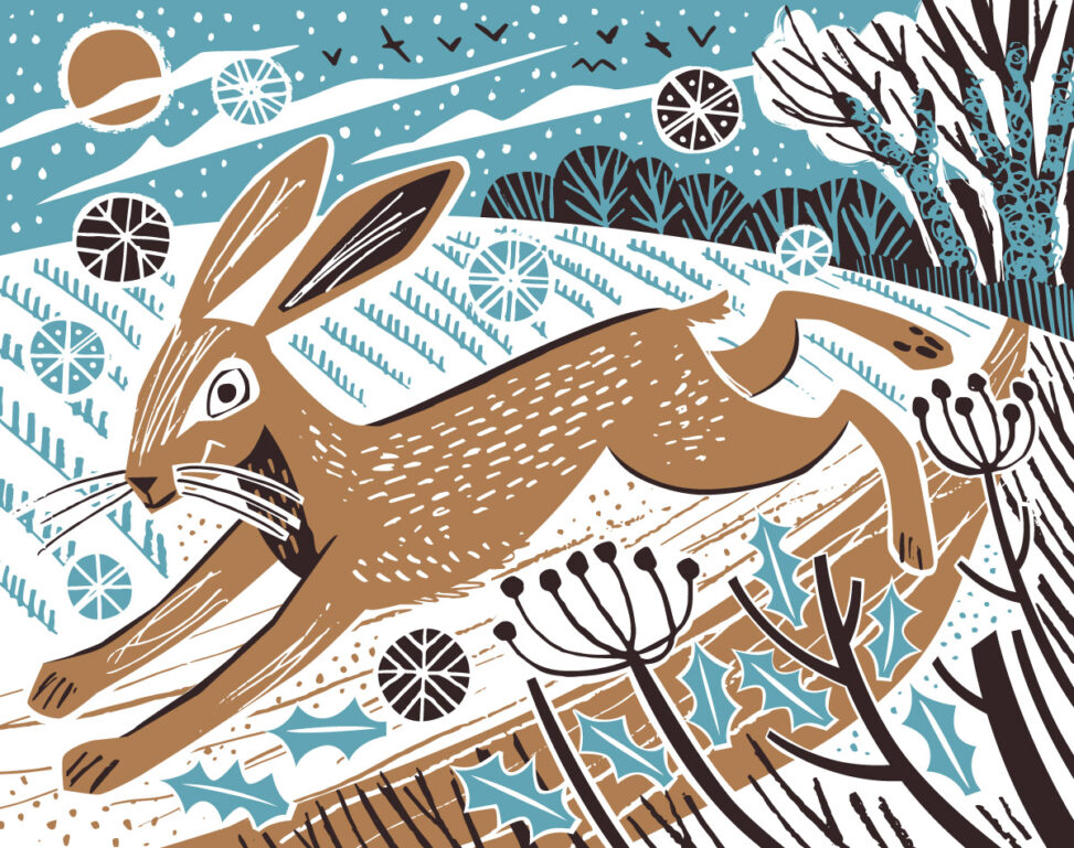 Winter hare illustration by Matt Johnson