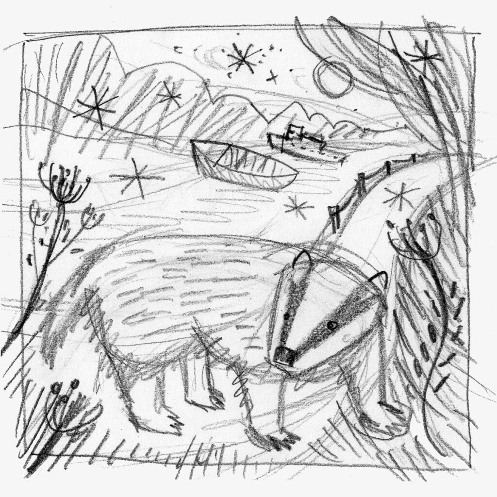 Badger illustration rough sketch by Matt Johnson